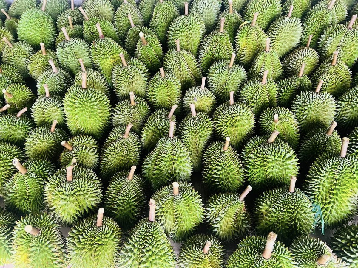 Bảo quản nông sản theo hướng tự nhiên – Giải pháp an toàn cho sức khỏe và môi trường